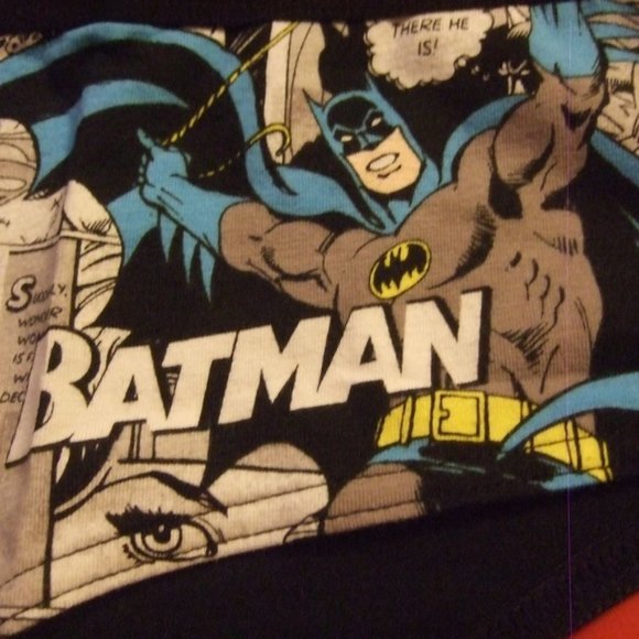 Torrid Batman and Robin panty - Size 2 - Picture 3 of 5